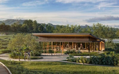 Plantas Ambientadas: Qué Son y Por Qué Tu Proyecto Inmobiliario las Necesita